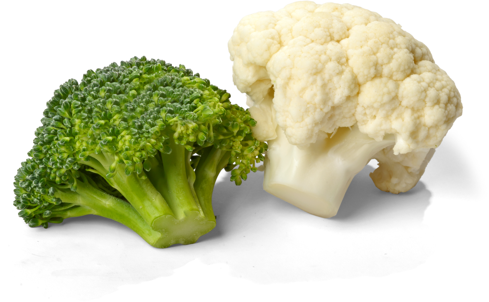 Fresh Broccoli and Cauliflower - Isolated